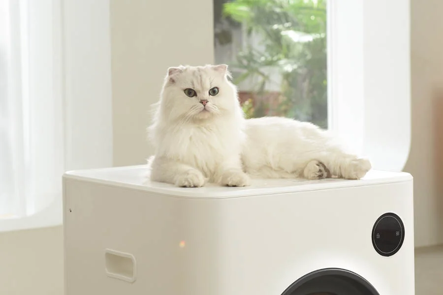 automated litter box